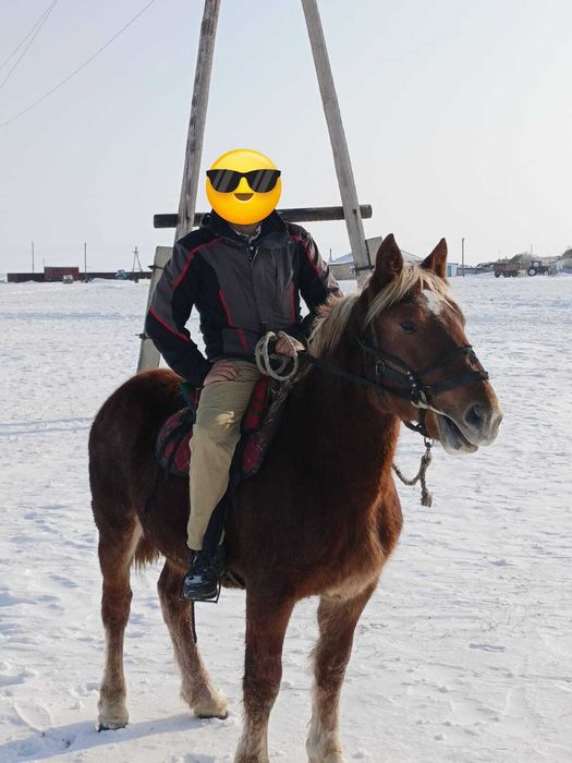 Советский Тяжеловоз құнан сатылады