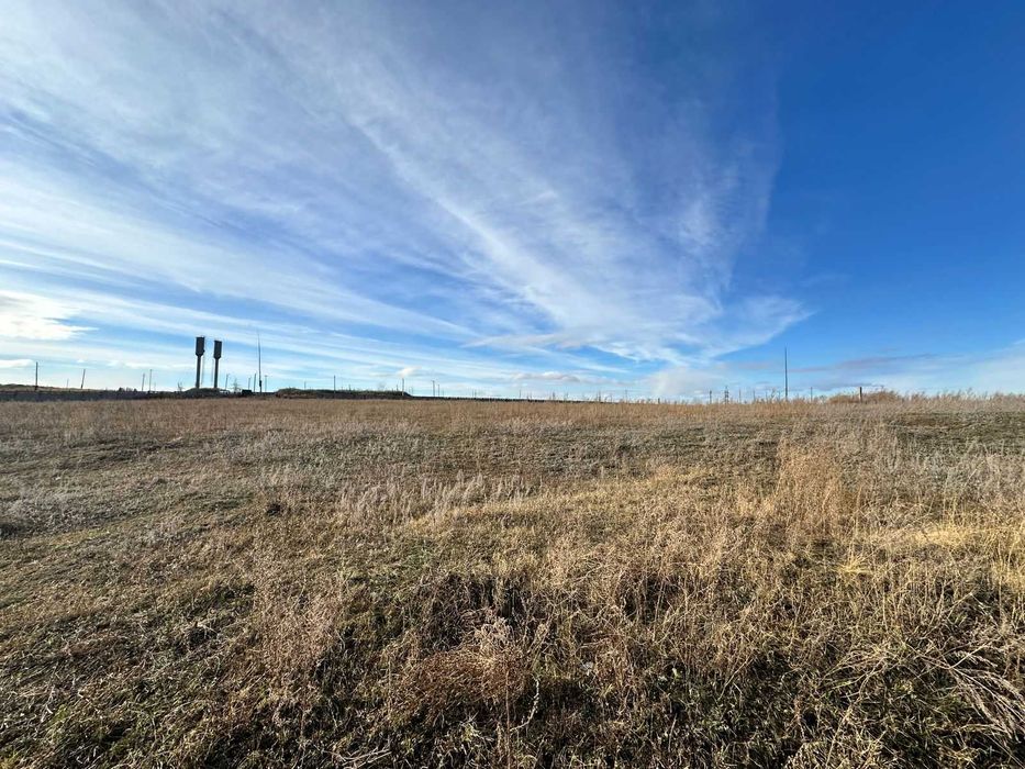 В продаже База новоявленка Алаш 1