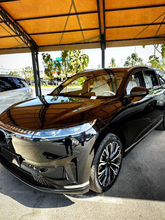 EV dongfeng 008 610km