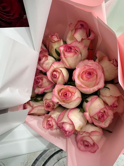 Продам цветы новые