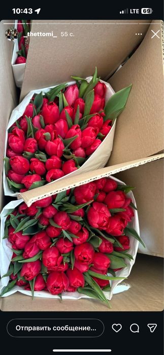 Тюльпаны к 8 марта