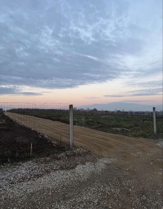 Parcele de vânzare Păușa