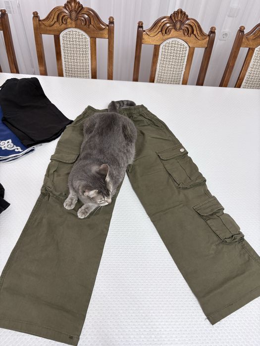 Футболки брюки штаны