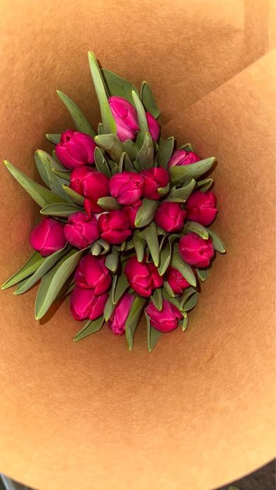 Отличные Тюльпаны Доставка бесплатно