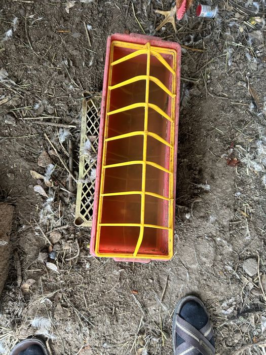 Кормушки для кур и цыплят