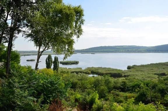 Продава се Къща в с. Сребърна, Област Силистра - 90 кв.м за 198 €/кв.м - Снимка #9