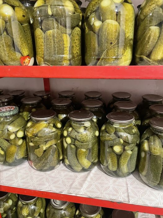 Домашние маринованные огурцы