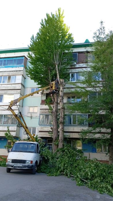 Спил деревьев любой сложности