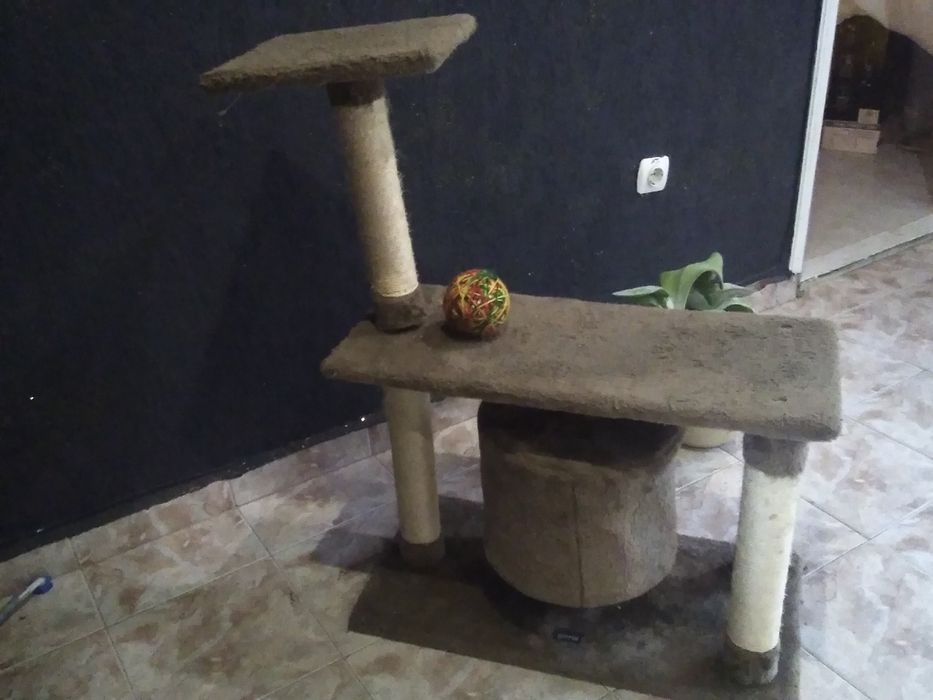 Къщички котка кула