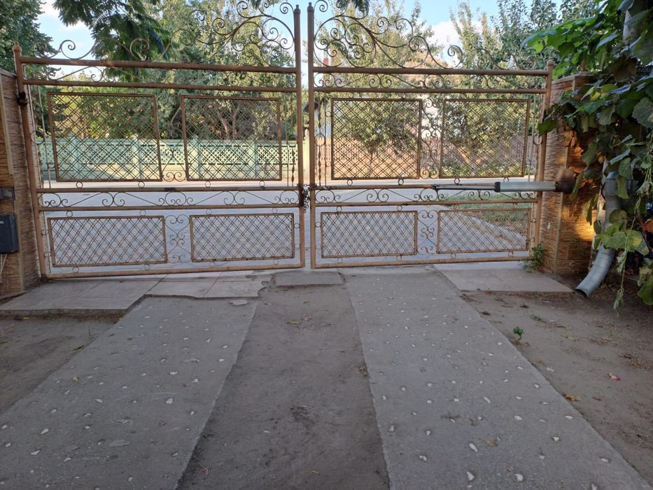 Casa de vis in Bailesti