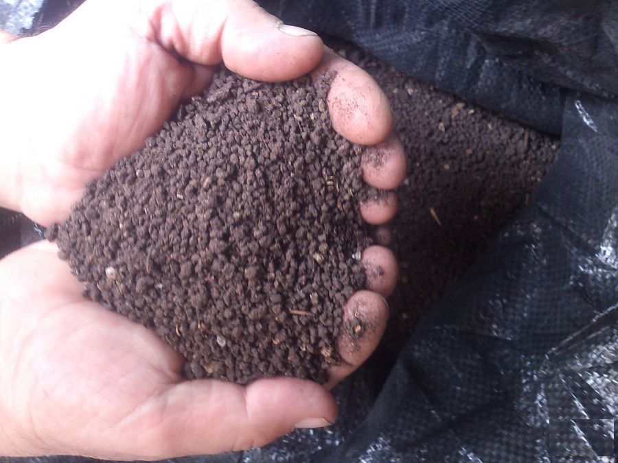 Тор - 100% биотор от Червен калифорнийски червеи (Био Тор, хумус, почв