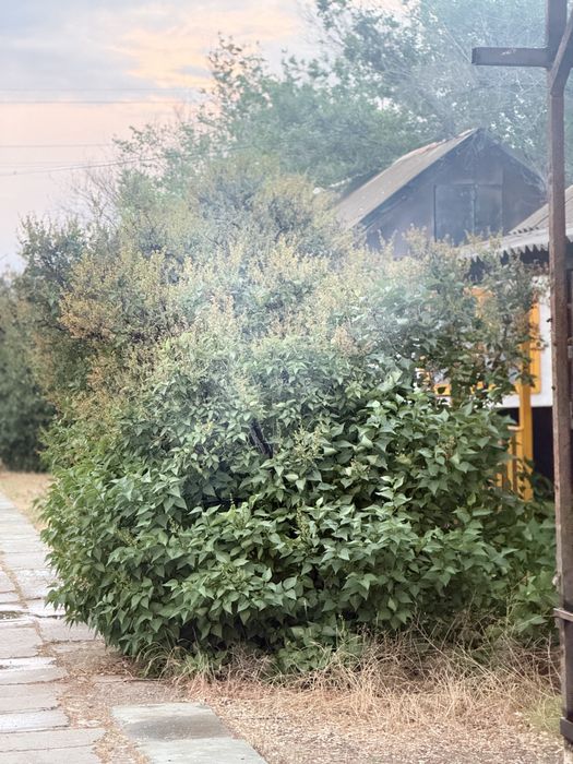Зона отдыха в аренду