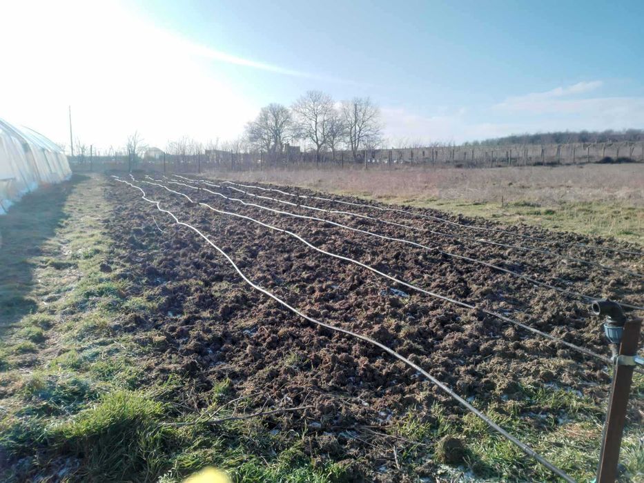 Оранжерии и открити площи под наем Варна с. Куманово 80лв./мес.