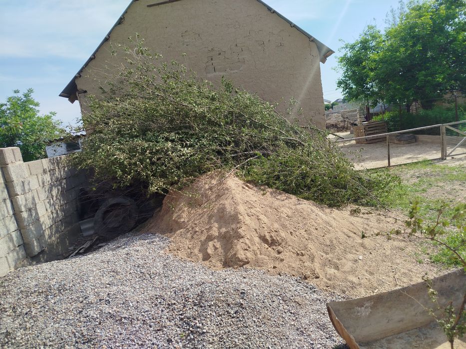 Отын ағаштар сатылады