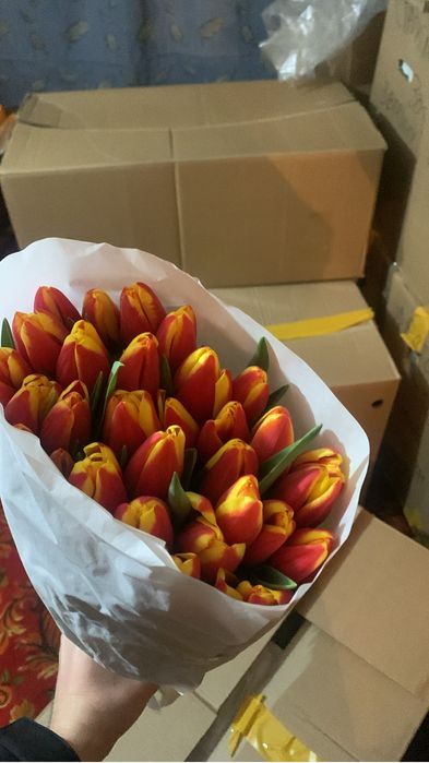 Тюльпаны, подарок к 8 марта