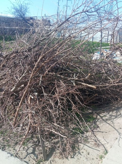 O'tin sotiladi Samarqand shahar