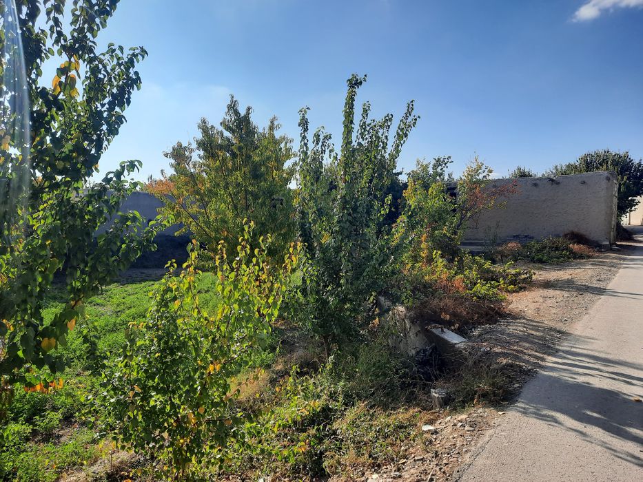 Тез ва зудликда Ховли куриш учун буш ер сотилади.