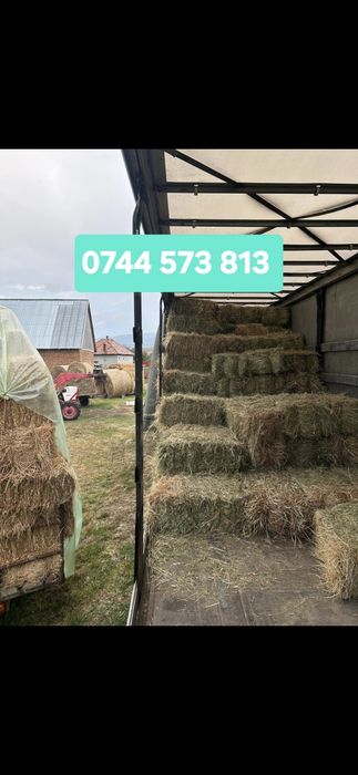 Baloti fan dreptunghiulari min.500.Rotunzi 40.de fan sau lucerna.LaTIR