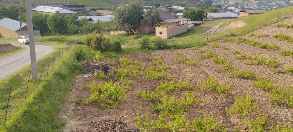 Yer sotiladi Parkent tumanida