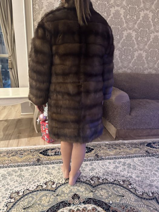 Продам дикий соболь