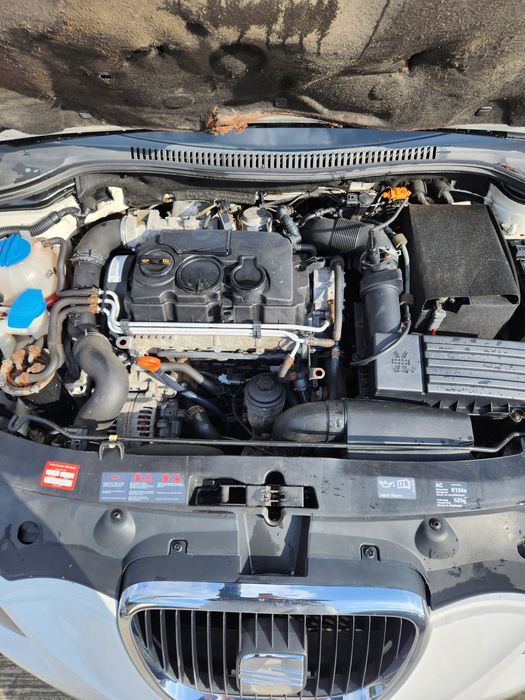 Seat leon 1.9 diesel adus Germania  si variante ieftine