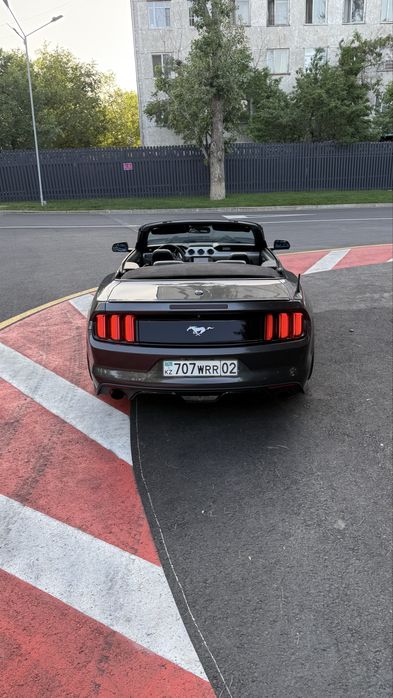 Аренда  прокат Ford Mustang