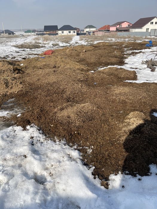 Конный навоз, тегін көң, перегной бесплатно