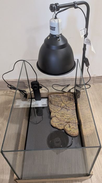 Аквариум за костенурка стъкло