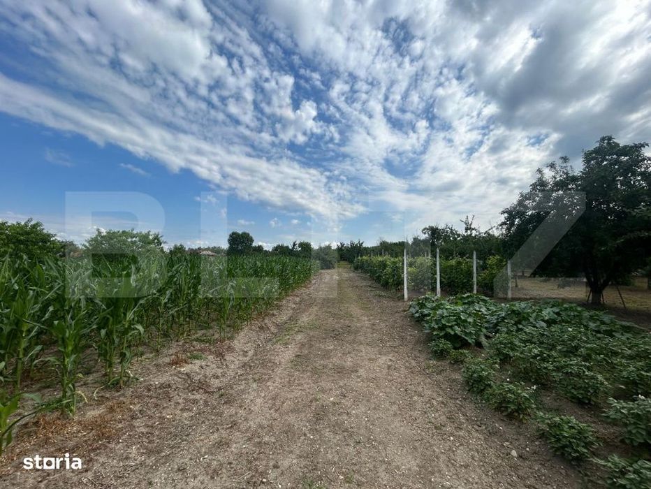 Teren | Crangurile De Jos | 6796 Mp | Intravilan |