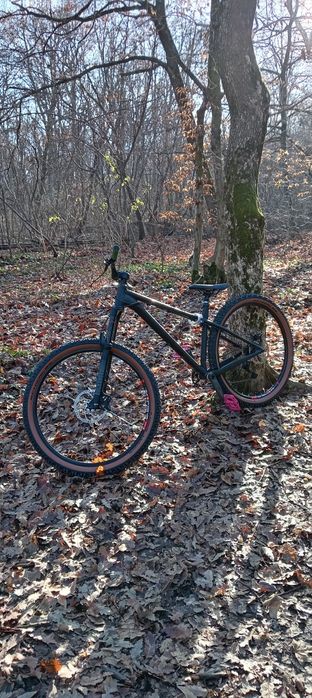 Vand Hardtail agresiv Ns Eccentric alu evo 29
