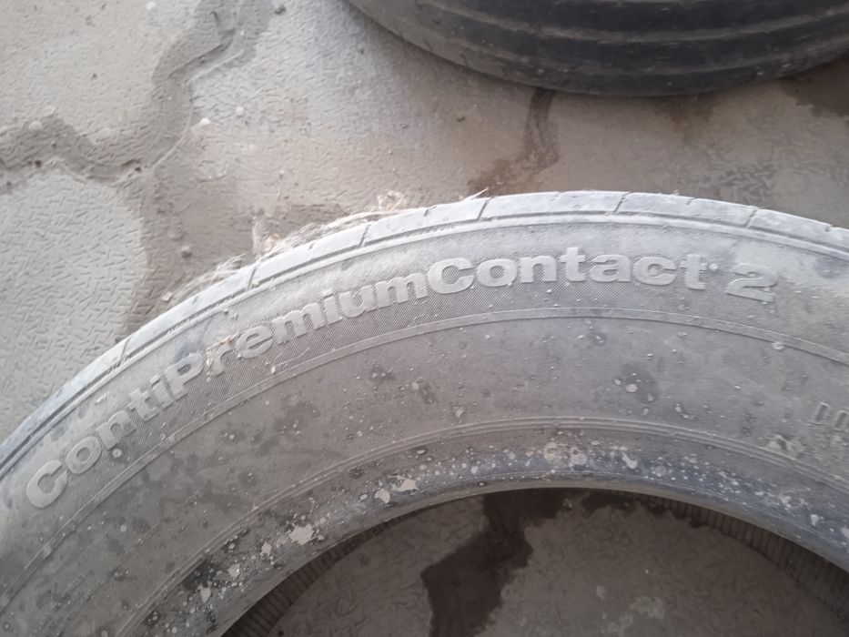 Мошин балон кобальтниуи