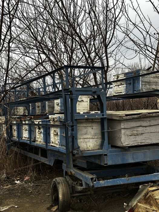 Фермерское хозяйство продаёт