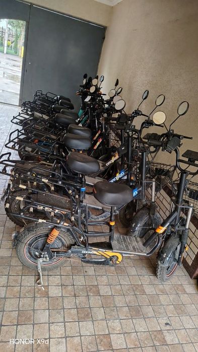 Drongo sukuter elktr