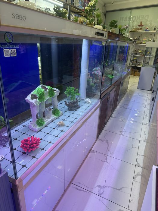 Akvarium va Baliqlar Magazin