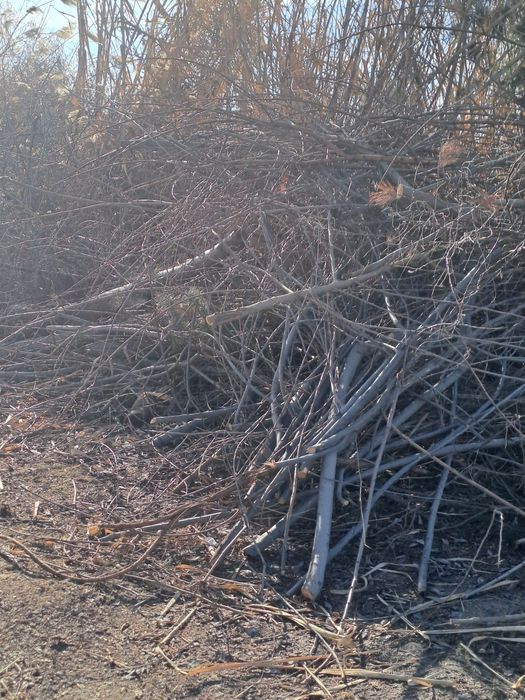 Дрова , утун бор 2 мошин чикади