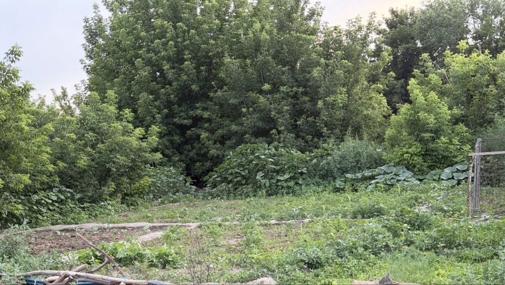 Продам дом в городе уштобе 5 комнат