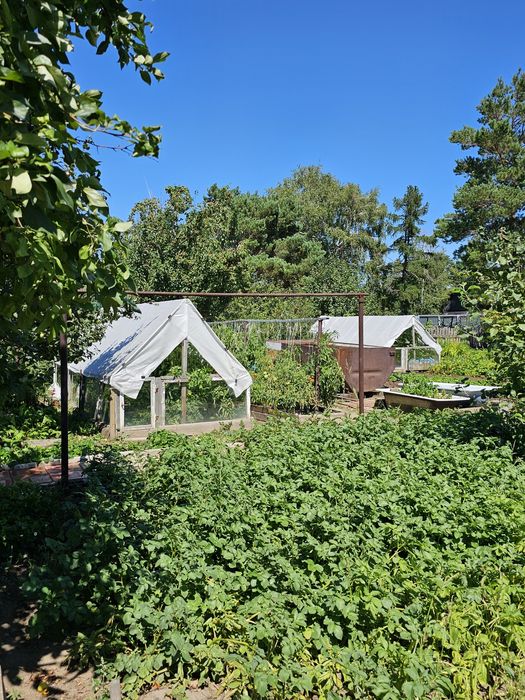 Продам ДАЧУ (Федоровка)