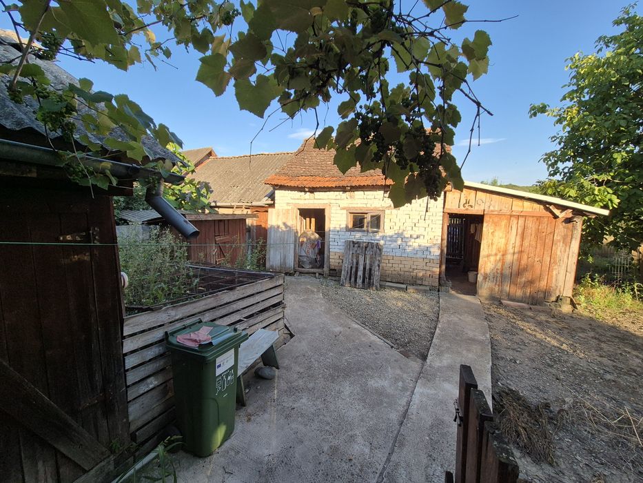 Casa cu gradina si anexe Lechinta