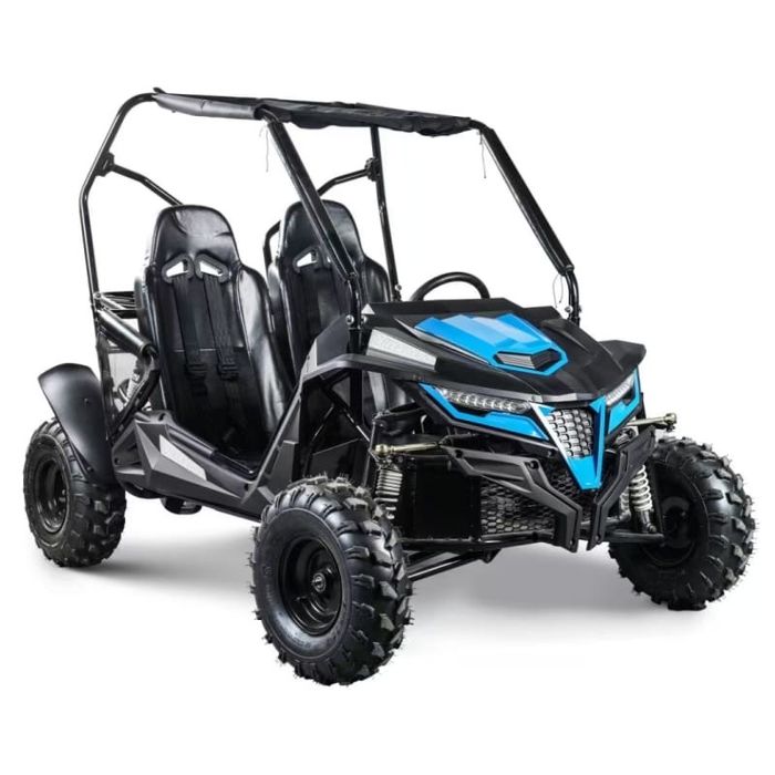 Квадроцикл Багги Мини снегоход мото