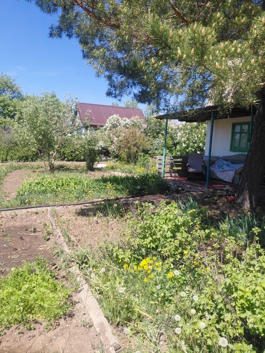 продам дачу в Михайловке