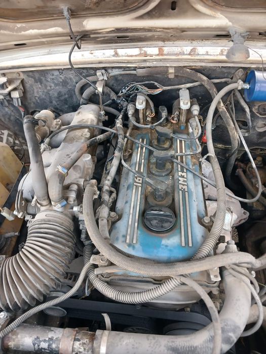 Волга     700000