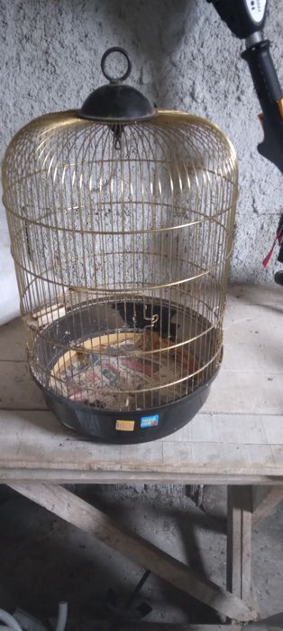 Vand colivie rotunda