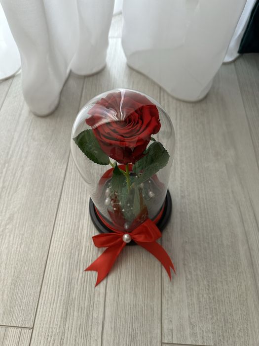 Trandafiri criogenati nemuritori