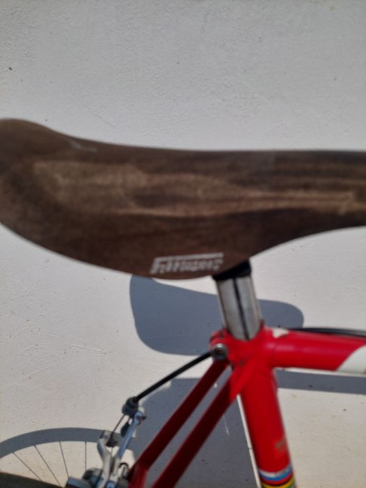 Bicicleta,cursiera,Francesco Moser, Campagnolo, colectie