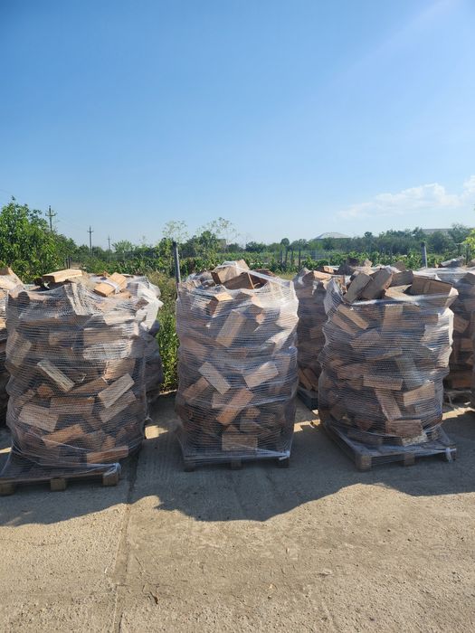 Lemne de foc Oferta Reduceri