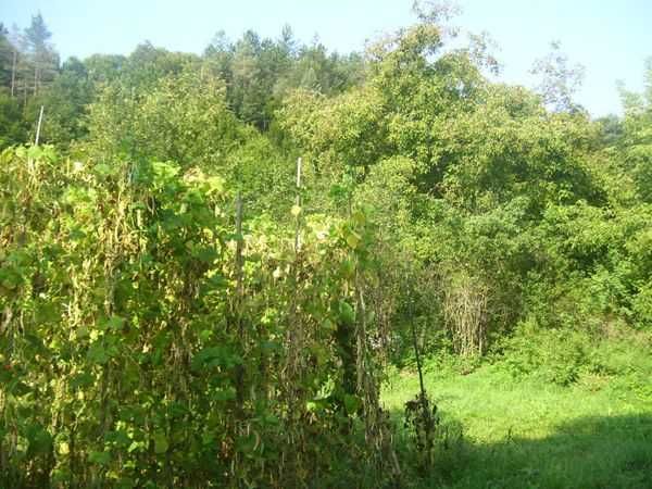 Продава се Къща в Априлци - 112 кв.м за 804 €/кв.м - Снимка #10