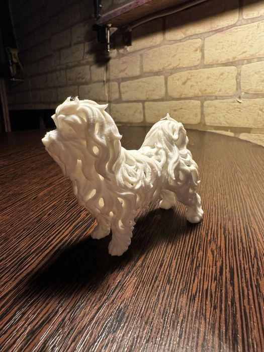 Маленькая белая балонка