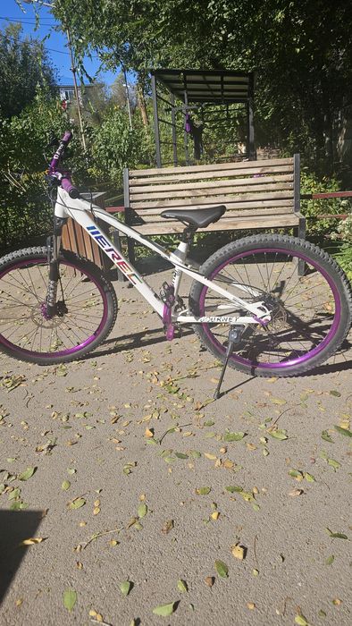 Велосипед IIEREC L 100