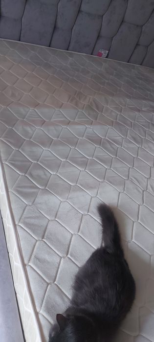 Отдам бесплатно матрас 160×2000