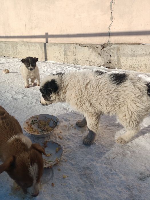 СРОЧНО!!! Срочно!